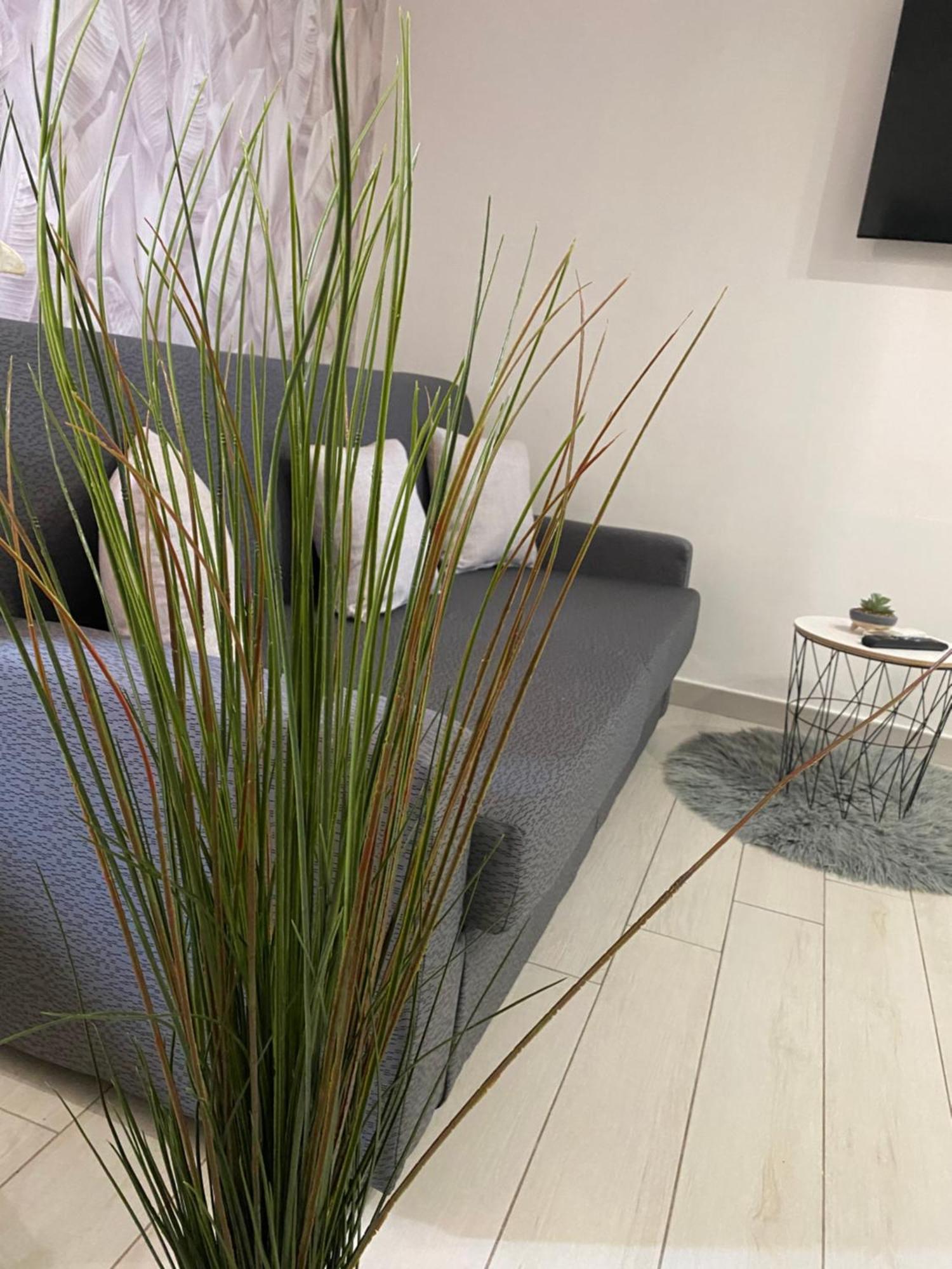 Daly Home Intero Appartamento Mugnano di Napoli Экстерьер фото